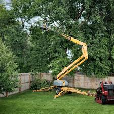 Artificial Turf Installation in Selma, NC